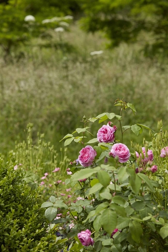 Vanessa Arbuthnott - Environmental Responsibility & Sustainability