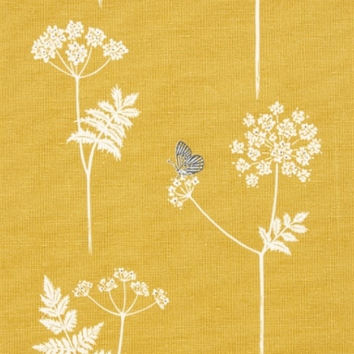 Cow Parsley - Saffron, Charcoal - Cut Lengths