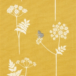 Cow Parsley - Saffron, Charcoal - Cut Lengths